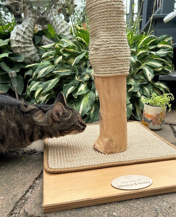 Hardwood Sisal Custom Cat Scratching Post - Warm Catpuccino Tan Base & Sisal Scratch Pad