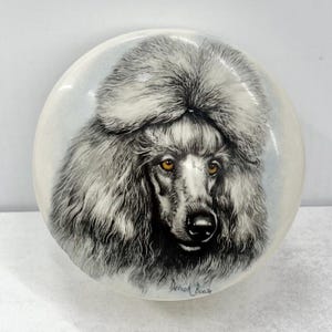 May include: A white porcelain trinket box featuring a black and white illustration of a poodle's face. The artist's signature, "Derek Beam", is visible at the bottom of the image.