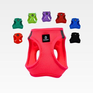 Mesh Step-in Harness with Matching Leash for Dogs and Cats - Comfortable and Adjustable Pet Harness Set