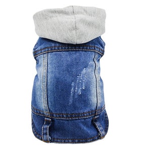 small dog denim jacket