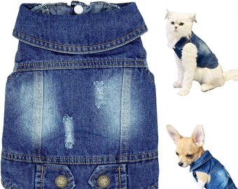 small dog denim jacket