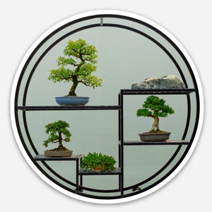 Könnte beinhalten: Vier Bonsai-Bäume in verschiedenen Größen und Stilen werden auf einem schwarzen Metallregal mit einem runden Rahmen ausgestellt. Das Regal steht vor einem hellgrauen Hintergrund.