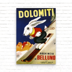 Dolomiti Provincia Di Belluno Vintage Travel Ski Poster - Art Print - Wall Decor