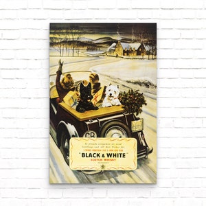 Black & White Scotch Whisky - Night Drive Vintage Drink Advertising Poster - Art Print - Decoración de pared