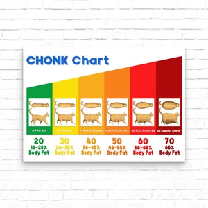 May include: A chart titled "CHONK Chart" shows a progression of orange cats with increasing body fat percentages. The chart is divided into six sections, each with a different color: green, yellow, orange, red, red, and red. The cats are labeled with the following terms: "A Fine Boy", "He Chomck", "A Heckin' Chonker", "HEFTYCHONK", "MEGACHONKER", and "OR LAND HE COMIN'." Each section also includes a number and a percentage range representing the body fat percentage. The numbers are 20, 30, 40, 50, 60, and 70. The percentage ranges are 16-25%, 26-35%, 36-45%, 46-55%, 56-65%, and 65%.