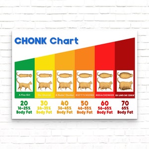 The Chonk Chart (Female) - Cat Weight Gain Poster - Veterinary Wall Art - Funny and Cute Animals Art Print - Wall Decor