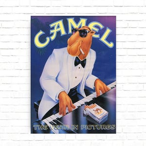 how many cigarette in one box Cigarette Pack Size: How Many Cigarettes Are in a Pack?