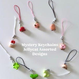 Mystery Bag Keychain Charms | Assorted Designs Blind Bags