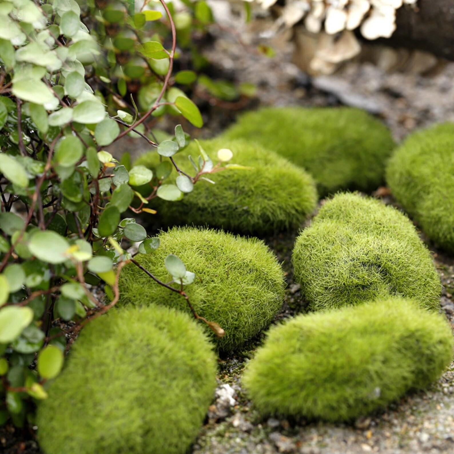 Artificial Green Moss Ball Fake Stone DIY Miniature Decorative Etsy