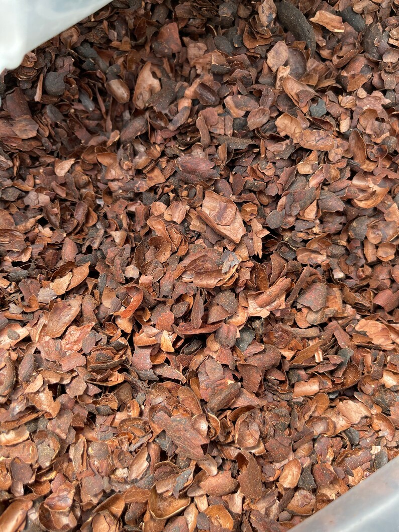 Premium Cocoa Shell Mulch 5.5 Oz Etsy