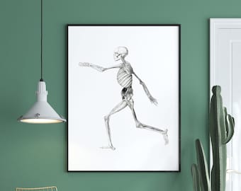 Skeleton Print | Skeleton Art Print | Human Skeleton Poster | Anatomy Poster | Anatomy Wall Art | Skeleton Drawing | Medical Gift