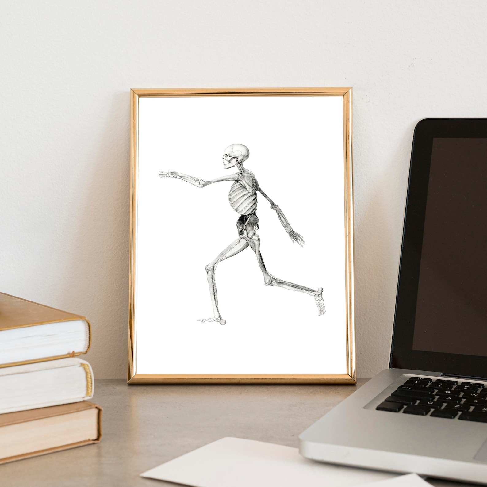 Human Skeleton Poster | Human Anatomy Poster – BQSHA