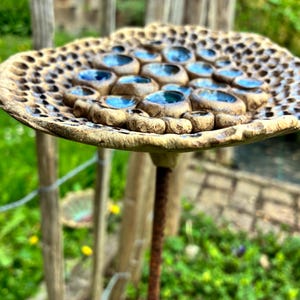 Könnte beinhalten: Handgefertigtes Vogelbad aus Keramik mit strukturiertem, perforiertem Rand und blau glasierten Vertiefungen. Das Vogelbad ist auf einer Metallstange montiert, vor einem verschwommenen grünen Hintergrund.