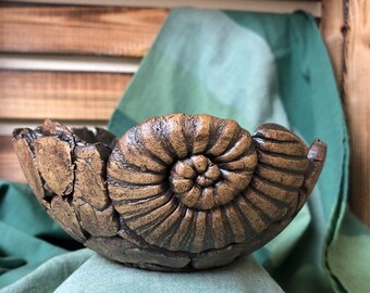 Kleine Ammonitenschale 15x6 cm
