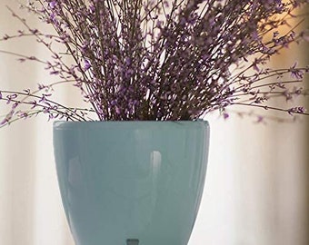 DecoPots - 6.7" Self Watering Planter - Indoor Outdoor Decorative Flower Pot with Drainage Cartridge and Water Level Indicator