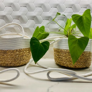 May include: Two white and natural woven hanging planters with white cotton rope. The planters are filled with green plants with large leaves.