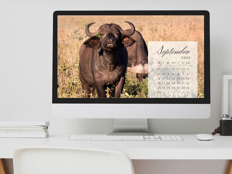 Desktop Wallpapers Calendar 2024 Template Canva Editable Etsy UK