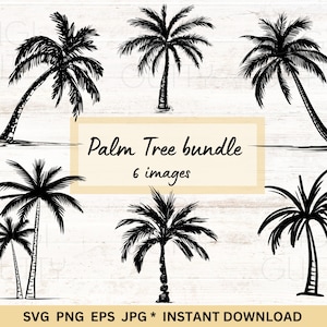 Könnte beinhalten: Ein Set mit sechs Schwarzweiß-Illustrationen von Palmen. Die Bäume sind in einem einfachen, handgezeichneten Stil gezeichnet. Der Text "Palm Tree bundle 6 images" ist in einem weißen Rechteck auf beigefarbenem Hintergrund geschrieben.