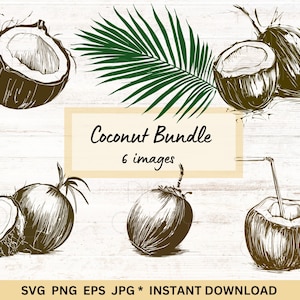 Coconut svg bundle of 6 different clipart tropical themed designs, commercial use, cricut cut files. Digital download, eps, svg, png, jpg.