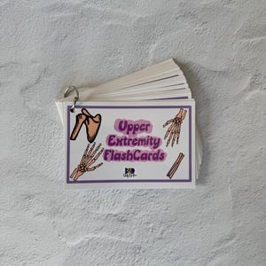 2026 Radiologic Tech Upper Extremity Flashcards | X-ray Positioning ...