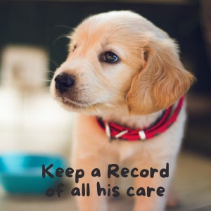 May include: A close-up of a golden retriever puppy wearing a red collar. The puppy is looking to the left of the frame. The text "Keep a Record of all his care" is written below the puppy.