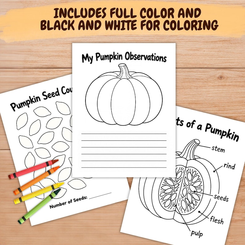 Pumpkin Unit Study for Kids, Fall Homeschool Activities, Pumpkin Life ...