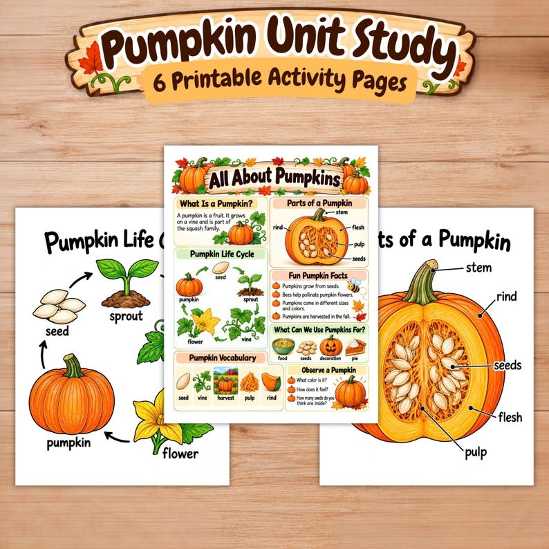 Pumpkin Unit Study for Kids, Fall Homeschool Activities, Pumpkin Life ...