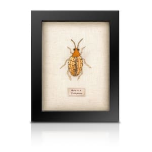 Beaded Spotty Beetle - Nature Inspired Art - olden Spotty Beetle Beaded Wall Art, Intricate Sequin Embroidery, Curiosity Cabinet Specimen