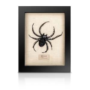Beaded Spider - Spider Wall Decor - Beaded Glass Art Insect with Sequins, Handmade Curiosity Cabinet Specimen Box Frame Gift