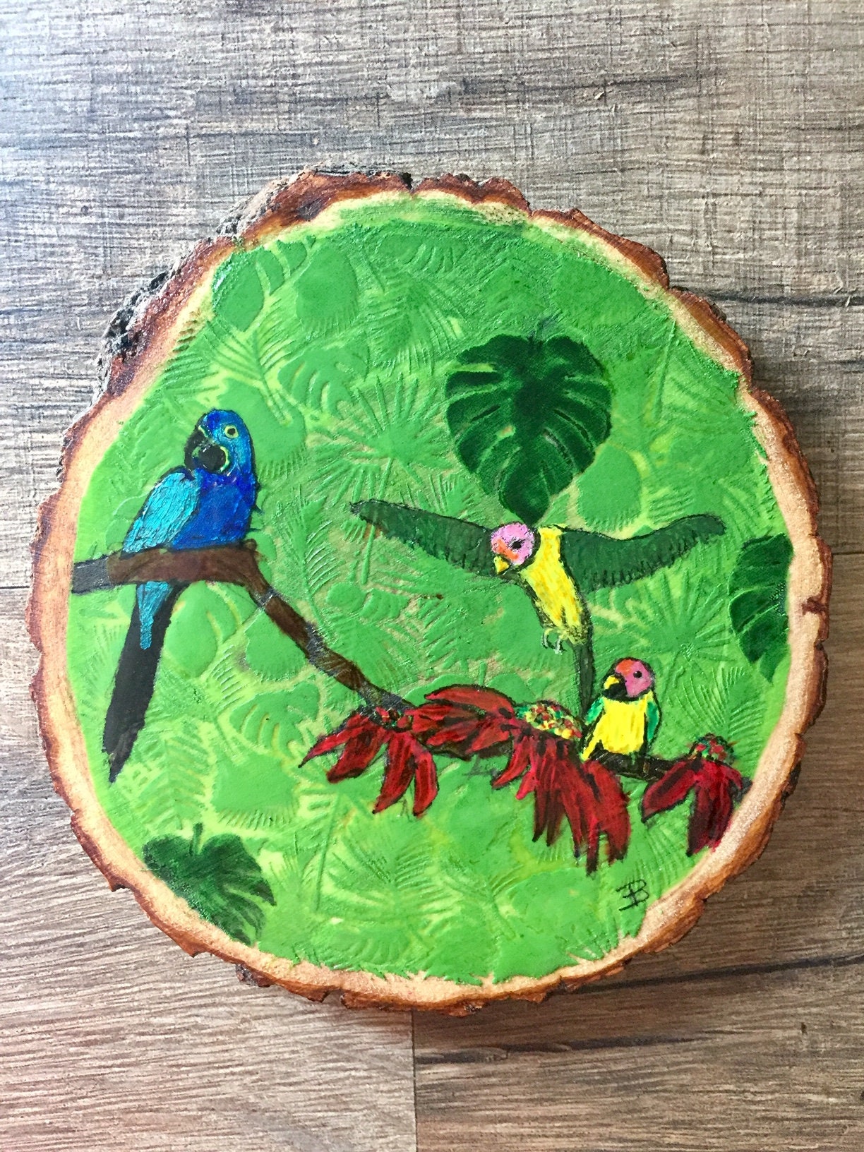 La Forêt Amazonienne