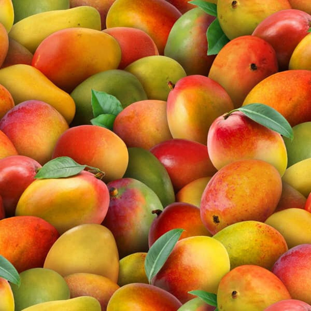 Mango R 1/2 Meter of MANGOES MULTI From Food Festival Collection by Elizabeth's ...
