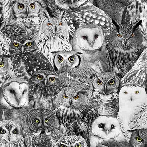 PACKED OWLS Black (out of print) from Wicked Collection for Timeless Treasures Fabrics