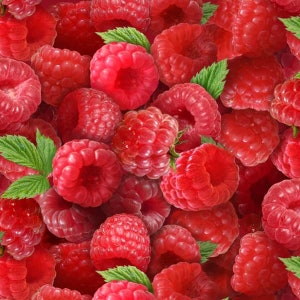 RASPBERRIES RASPBERRY from Berry Good Collection by Elizabeth&#39;s Studio