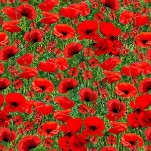 POPPY FIELD red and green from WILDFLOWER collection by Timeless Treasures Fabrics
