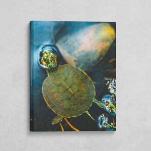 May include: A green turtle with a yellow shell swims in a blue pond. The turtle is facing the camera with its head out of the water.