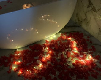 Rose Petal & Fairy Light Kit For Valentines Anniversary Special Birthday Romance