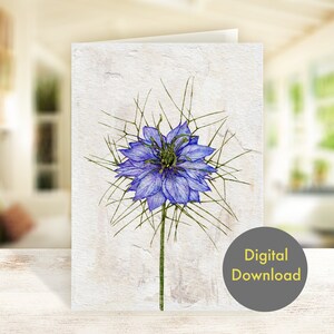 Cartão de felicitações em branco -  Flor Nigella - Para impressão - Cartão digital