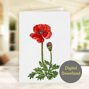 Blank greeting card -  Papaver - Printable - Digital Card