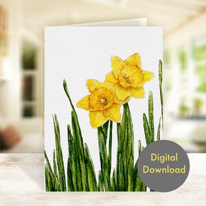 Blank greeting card -  Daffodils - Printable - Digital Card
