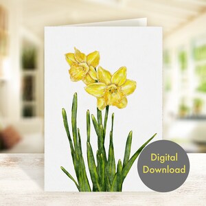 Tarjeta de felicitación en blanco -  Narcisos - Imprimible - Tarjeta Digital