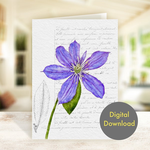 Blank greeting card -  Clematis flower - Printable - Digital Card