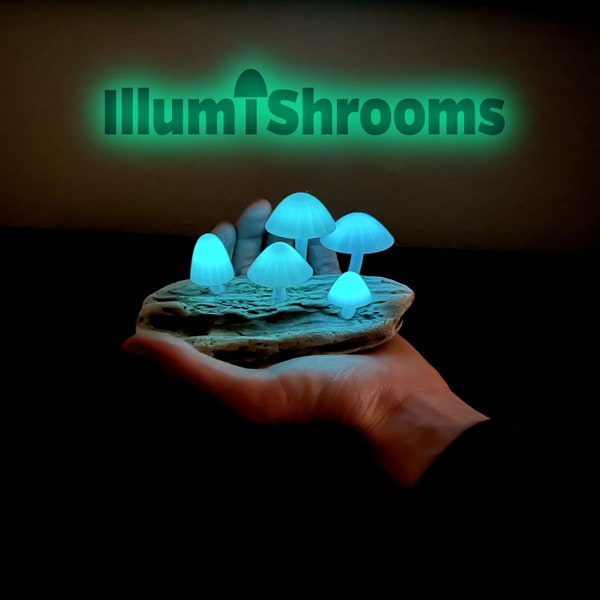 Glow-in-the-Dark Mushroom Driftwood Lamp / Night Light