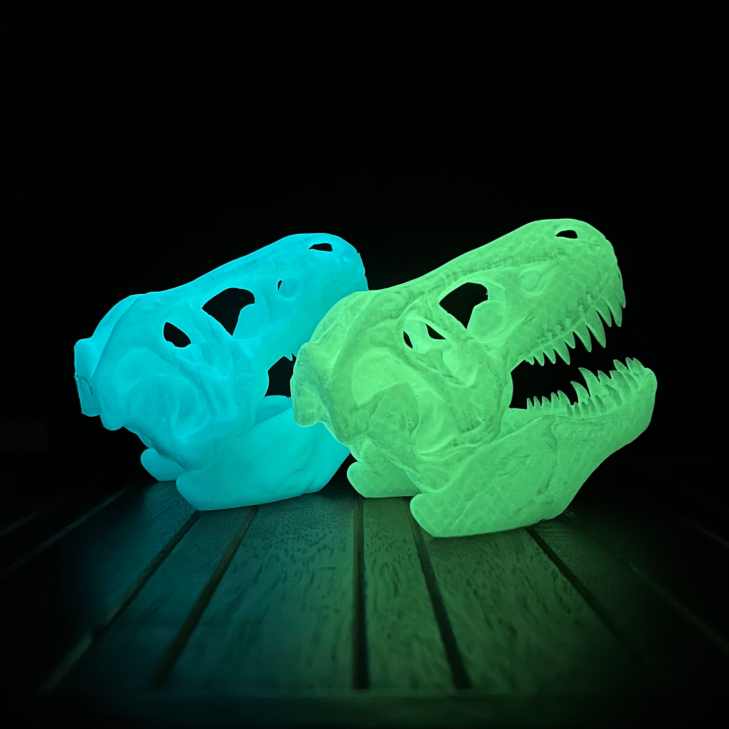 T. Rex Dinosaur Skull - Glow-in-the-dark - 3D Printed - Etsy