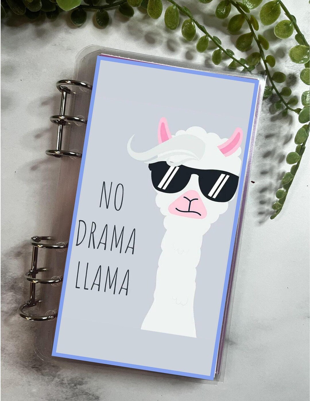 A6 Llama Savings Challenge Binder: Reusable Sinking Funds Book - Etsy