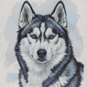 May include: A mosaic-style portrait of a Husky dog, rendered in shades of blue, gray, and white. The dog's piercing blue eyes and dark nose are central, with a detailed depiction of its fur.