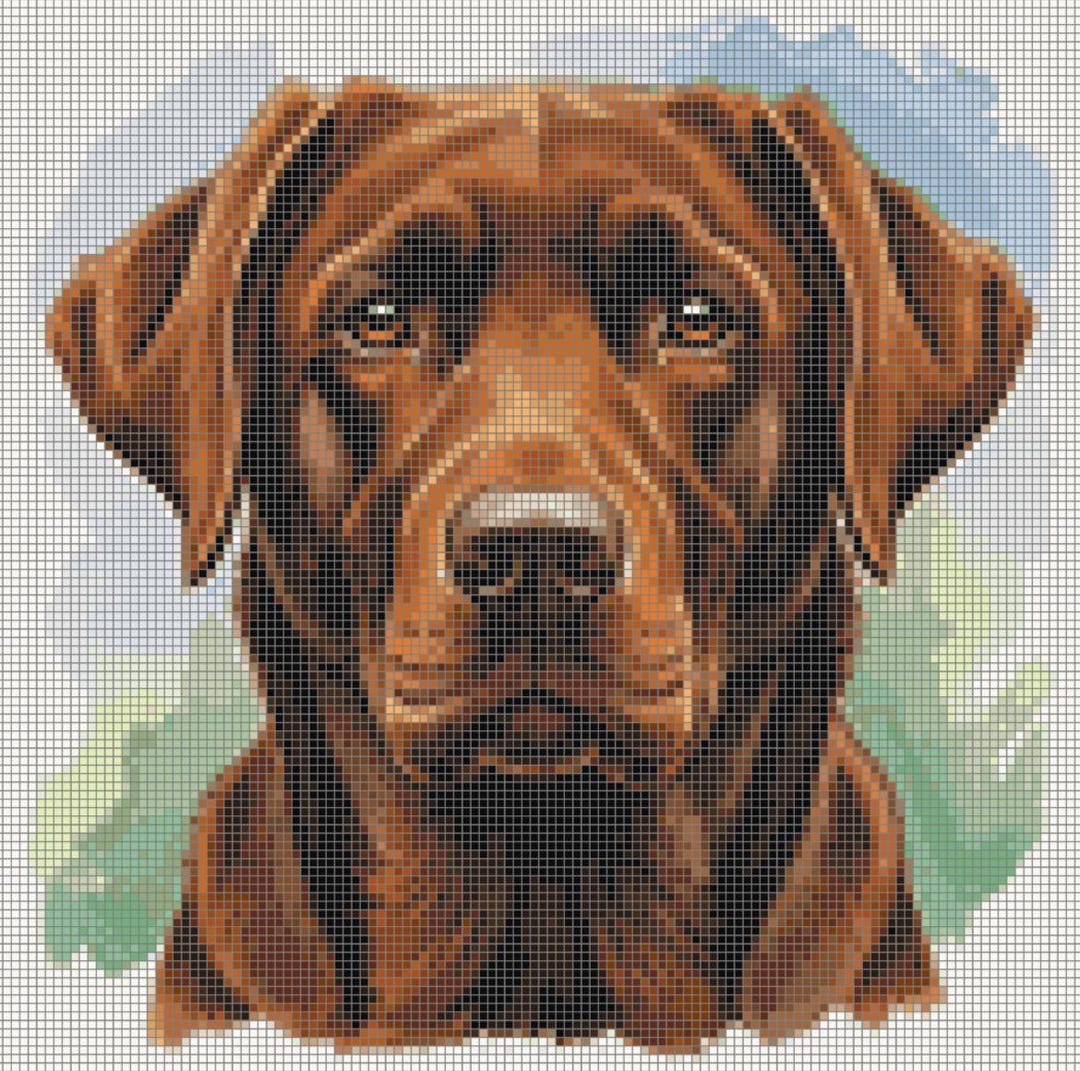 Labrador Pattern Printable Chocolate Labrador Cross Stitch Pattern Printable PDF - Etsy