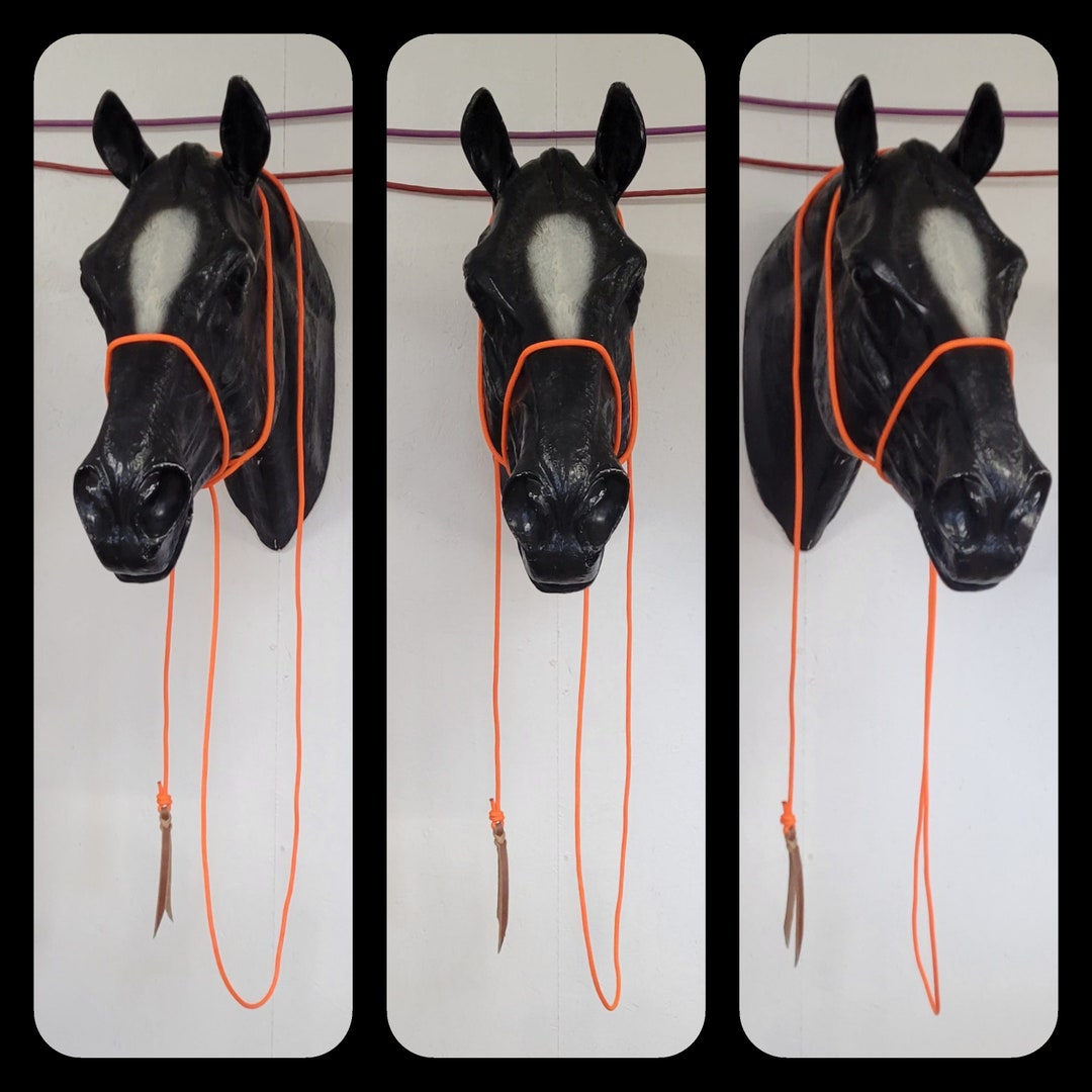 Pocket Halter Pasture Rope Halter Loop Halter Rope Etsy