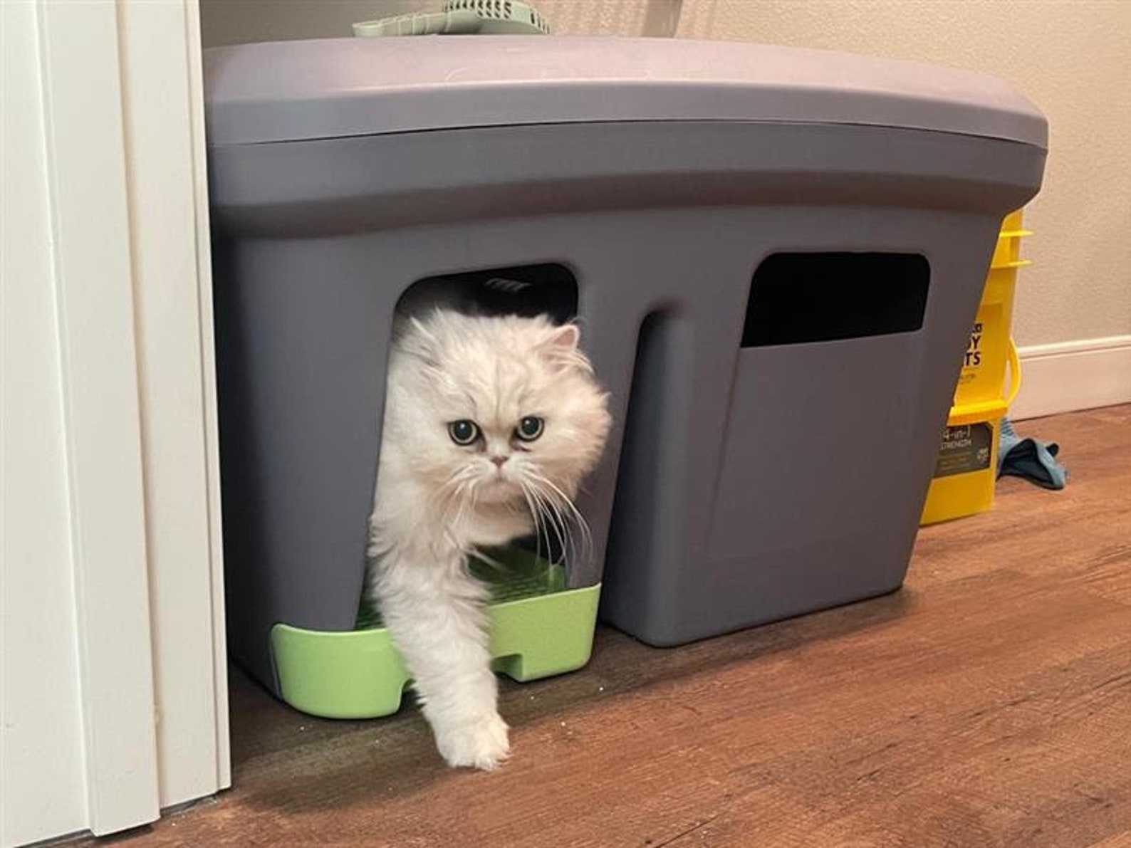 The Grate Litter Box significantly reduces litter tracking Etsy