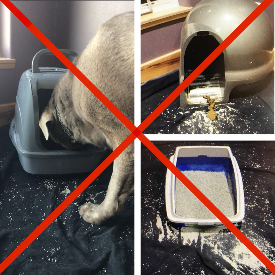 The Grate Litter Box significantly reduces litter tracking Etsy