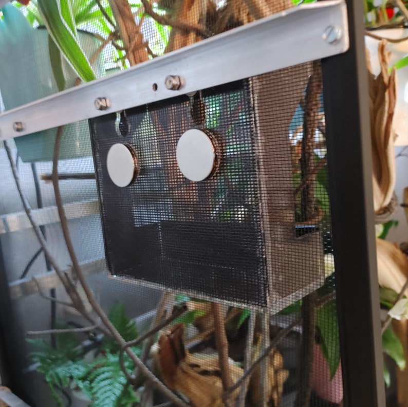 chameleon cricket feeder